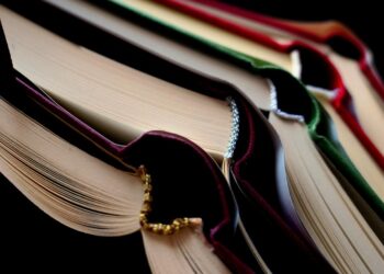 How to Read a Credit Report: A Step-by-Step Guide for Beginners