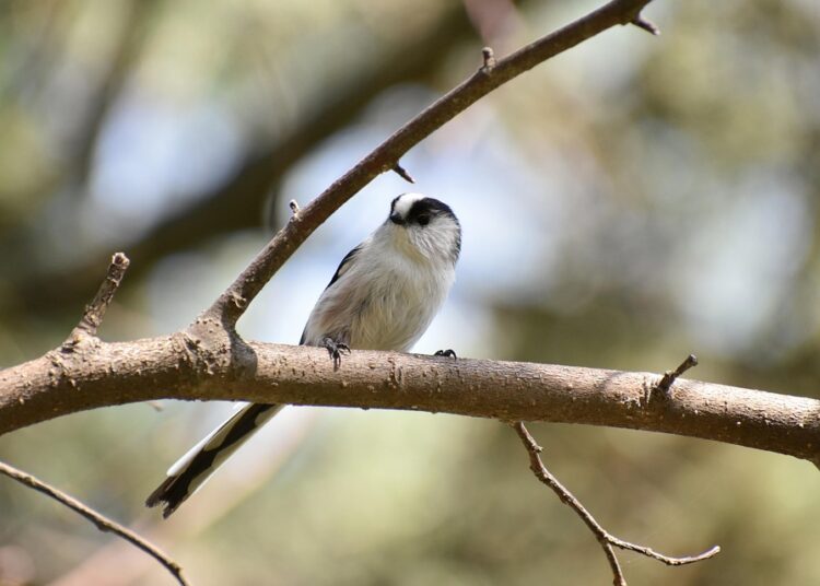 How to Start ESG Investing: A Beginner’s Guide to Aligning Your Values with Your Wealth