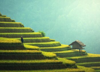 How to Start Investing Sustainably in 2025: A Beginner’s Step-by-Step Guide