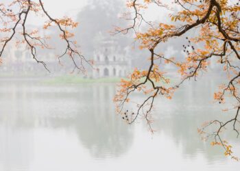 How to Talk About Money with Your Partner: A Step-by-Step Guide for Couples