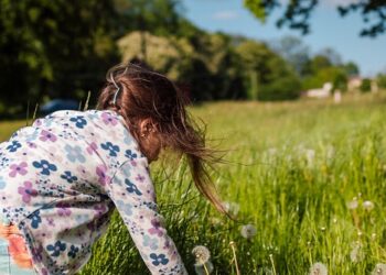 How to Use a High-Yield Savings Account to Save for Your Home Down Payment: Step-by-Step Guide