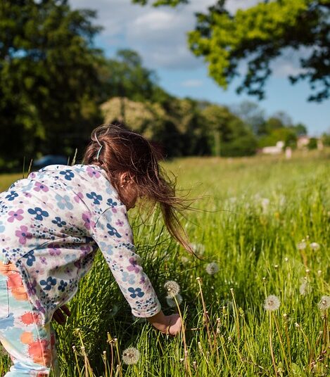 How to Use a High-Yield Savings Account to Save for Your Home Down Payment: Step-by-Step Guide