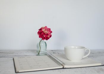 How to Use a Printable Debt Payoff Planner to Crush Your Debt: A Step-by-Step Guide