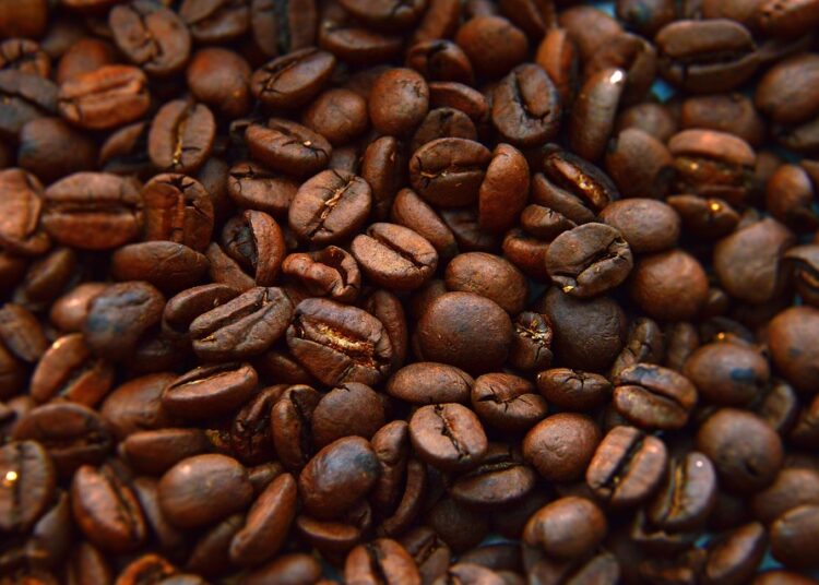 Investment Basics You Should Know: A Beginner’s Guide to Smart Investing Investment Basics You Should Know: A Beginner’s Guide to Smart Investing