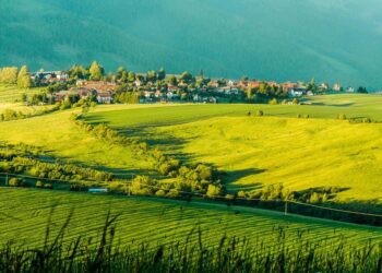 Is Debt Settlement a Good Idea? A Comprehensive Guide to Your Options