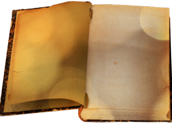 Step-by-Step Guide: How to Open a High-Yield Savings Account in 5 Easy Steps