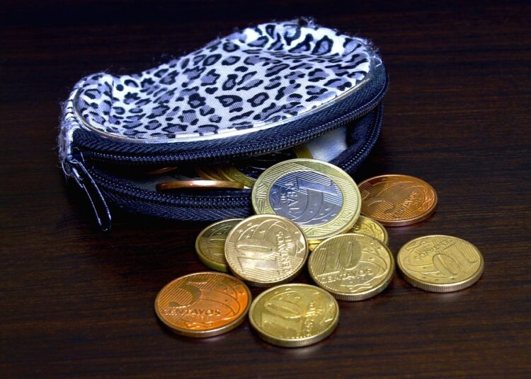 The Beginner’s Guide: How to Invest with Little Money Safely and Effectively The Beginner’s Guide: How to Invest with Little Money Safely and Effectively