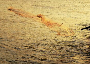 The Ultimate Guide to Types of Investments: What You Need to Know to Grow Your Wealth