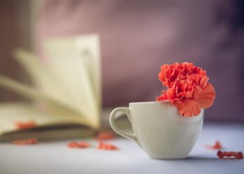 The Ultimate How-To Guide: How to Read Your Credit Report Like a Pro