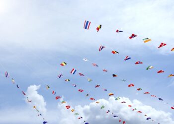 The Ultimate How-to Guide: Mastering How to Manage Multiple Debts Successfully