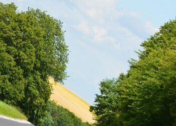 The Ultimate Wealth Creation Roadmap: A Step-by-Step Guide to Financial Freedom