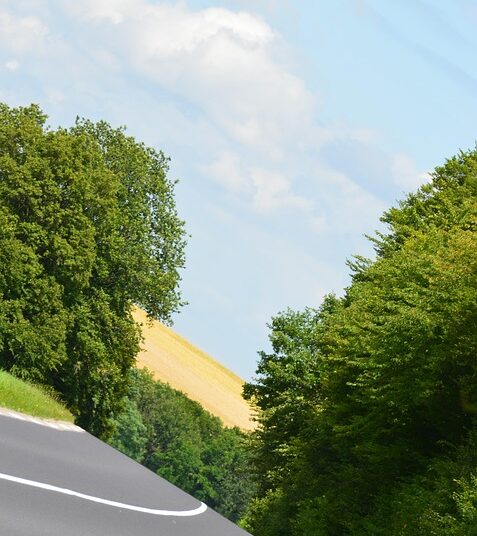 The Ultimate Wealth Creation Roadmap: A Step-by-Step Guide to Financial Freedom