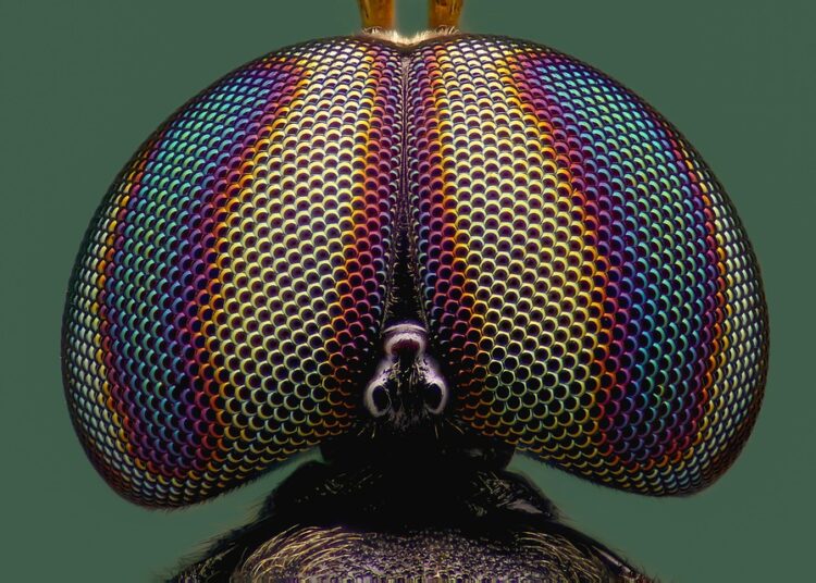 Understanding Simple vs Compound Interest: A Step-by-Step Guide for Beginners