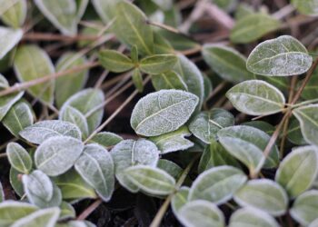 What Are Growth ETFs Targeting? A Complete Guide to Smart Investing