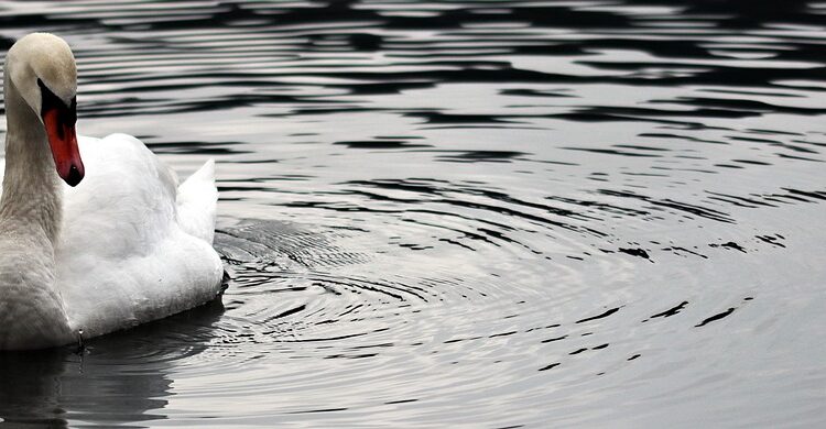 What Does It Mean to Be a High Net Worth Individual? A Comprehensive Guide for New Investors What Does It Mean to Be a High Net Worth Individual? A Comprehensive Guide for New Investors