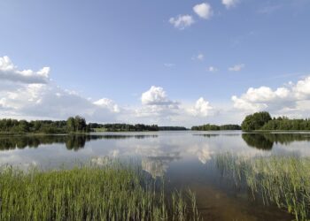 What Is Payment History? Understanding Its Crucial Role in Your Financial Health