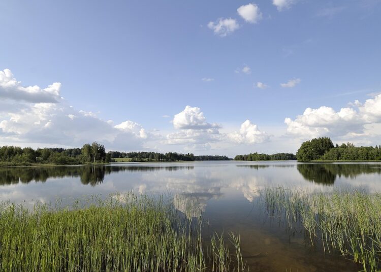 What Is Payment History? Understanding Its Crucial Role in Your Financial Health What Is Payment History? Understanding Its Crucial Role in Your Financial Health