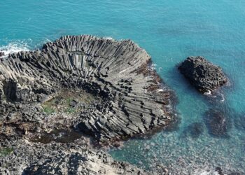 What Is a Joint Bank Account? A Comprehensive Guide for Couples and Families