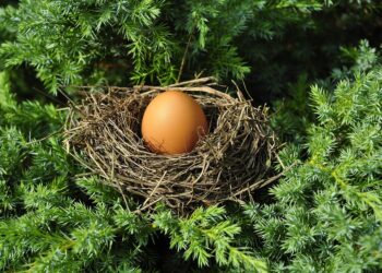 What Is a Retirement Nest Egg? The Essential Guide to Building Your Future Security