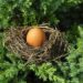 What Is a Retirement Nest Egg? The Essential Guide to Building Your Future Security