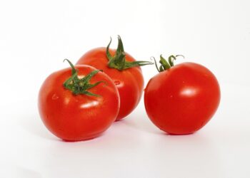 What Is a Three-Fund Portfolio? A Beginner’s Guide to Simple Investing