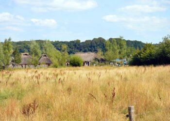 What is Debt Settlement? A Comprehensive Guide to Financial Freedom