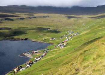 What is Debt Settlement? A Comprehensive Guide to Understanding Your Options