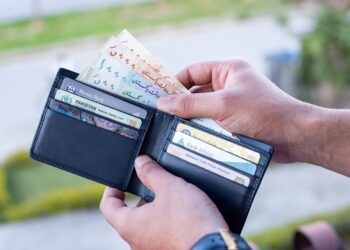 What is Portfolio Income? A Comprehensive Guide to Passive Wealth Strategies