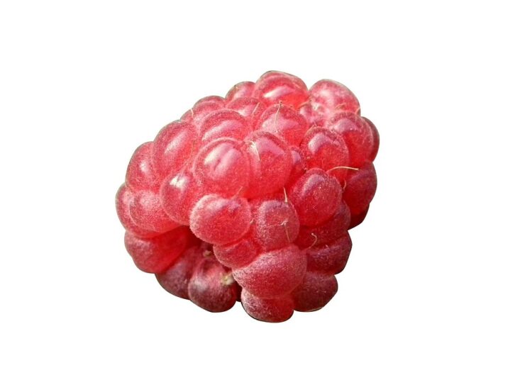 What is a Principal on a Loan? A Comprehensive Guide for Borrowers