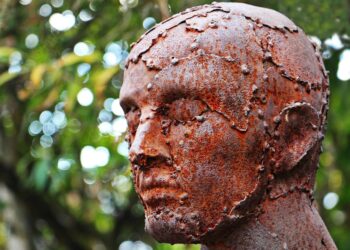 What is a Robo-Advisor Portfolio Made Of? A Comprehensive Guide for New Investors