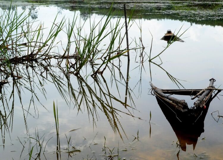 What is a Sinking Fund? A Beginner’s Guide to Smart Financial Planning What is a Sinking Fund? A Beginner’s Guide to Smart Financial Planning