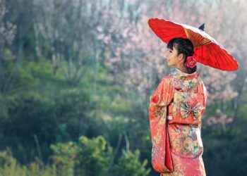 What is a Traditional IRA? A Comprehensive Guide to Retirement Savings