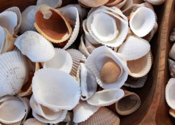 What is a VA Loan? A Comprehensive Guide for First-Time Homebuyers