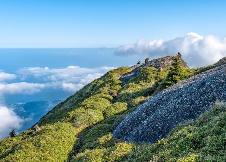 What is the Difference Between Saving and Investing? A Comprehensive Guide for Beginners What is the Difference Between Saving and Investing? A Comprehensive Guide for Beginners