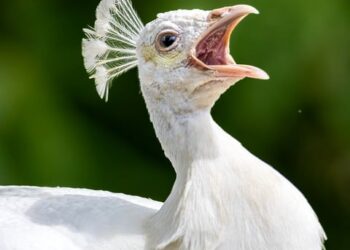 “10 Best Finance Tools for Beginners in 2025: Your Ultimate Guide to Smart Money Management”