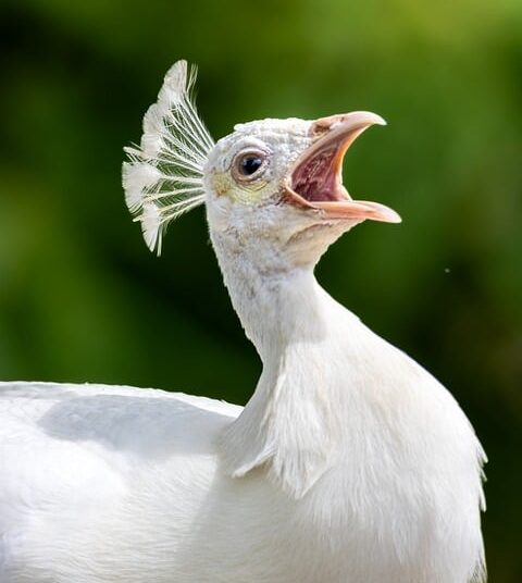 “10 Best Finance Tools for Beginners in 2025: Your Ultimate Guide to Smart Money Management”