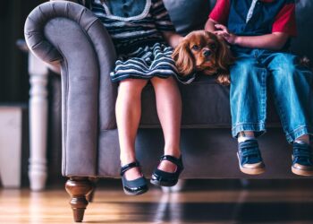 10 Clever Tips for Frugal Living with Pets: Save Money Without Compromising Care!