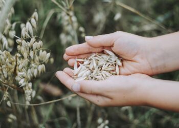 10 Common Reasons Why Your Budget Keeps Failing and How to Fix Them