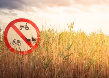 10 Creative Ways to Pay Off Debt Faster and Regain Your Financial Freedom