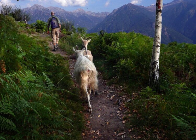 10 Frugal Ways to Organize Your Home Without Breaking the Bank