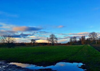 10 Proven Steps on How to Improve Your Credit Score After a Collection