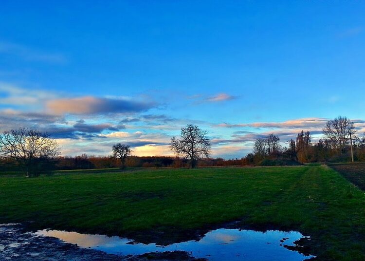 10 Proven Steps on How to Improve Your Credit Score After a Collection