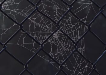 10 Proven Strategies for Building Net Worth on a Low Income