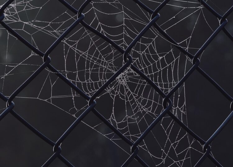 10 Proven Strategies for Building Net Worth on a Low Income