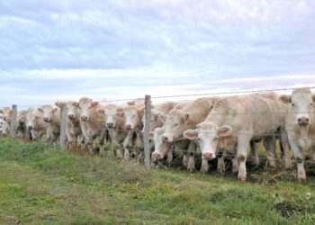 10 Situations Where Using a Robo-Advisor is a Bad Idea