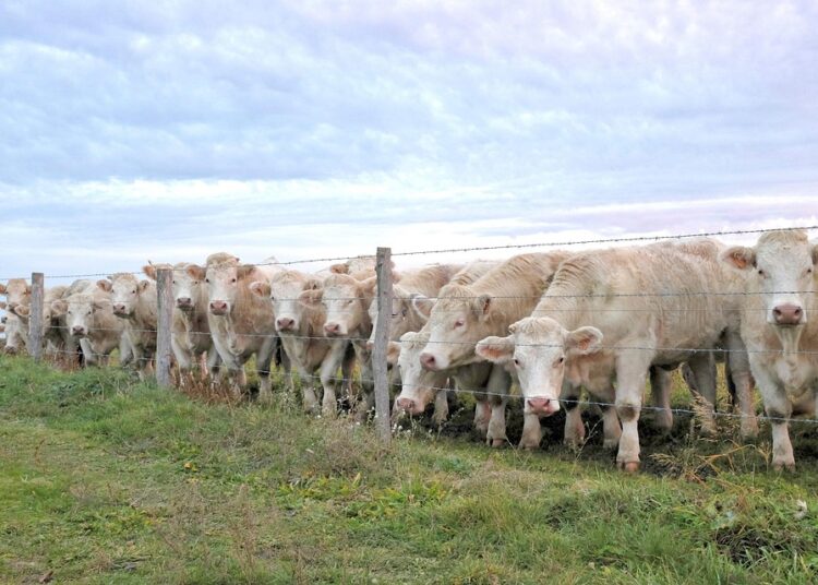 10 Situations Where Using a Robo-Advisor is a Bad Idea