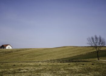 10 Smart Tips to Spend Less and Live More: Your Ultimate Guide to Financial Freedom