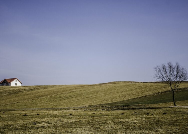 10 Smart Tips to Spend Less and Live More: Your Ultimate Guide to Financial Freedom