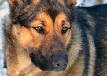 Coins vs. Tokens: 7 Key Differences You Need to Know