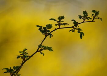 How Long Do Credit Bureaus Have to Investigate a Dispute? Your Essential Guide